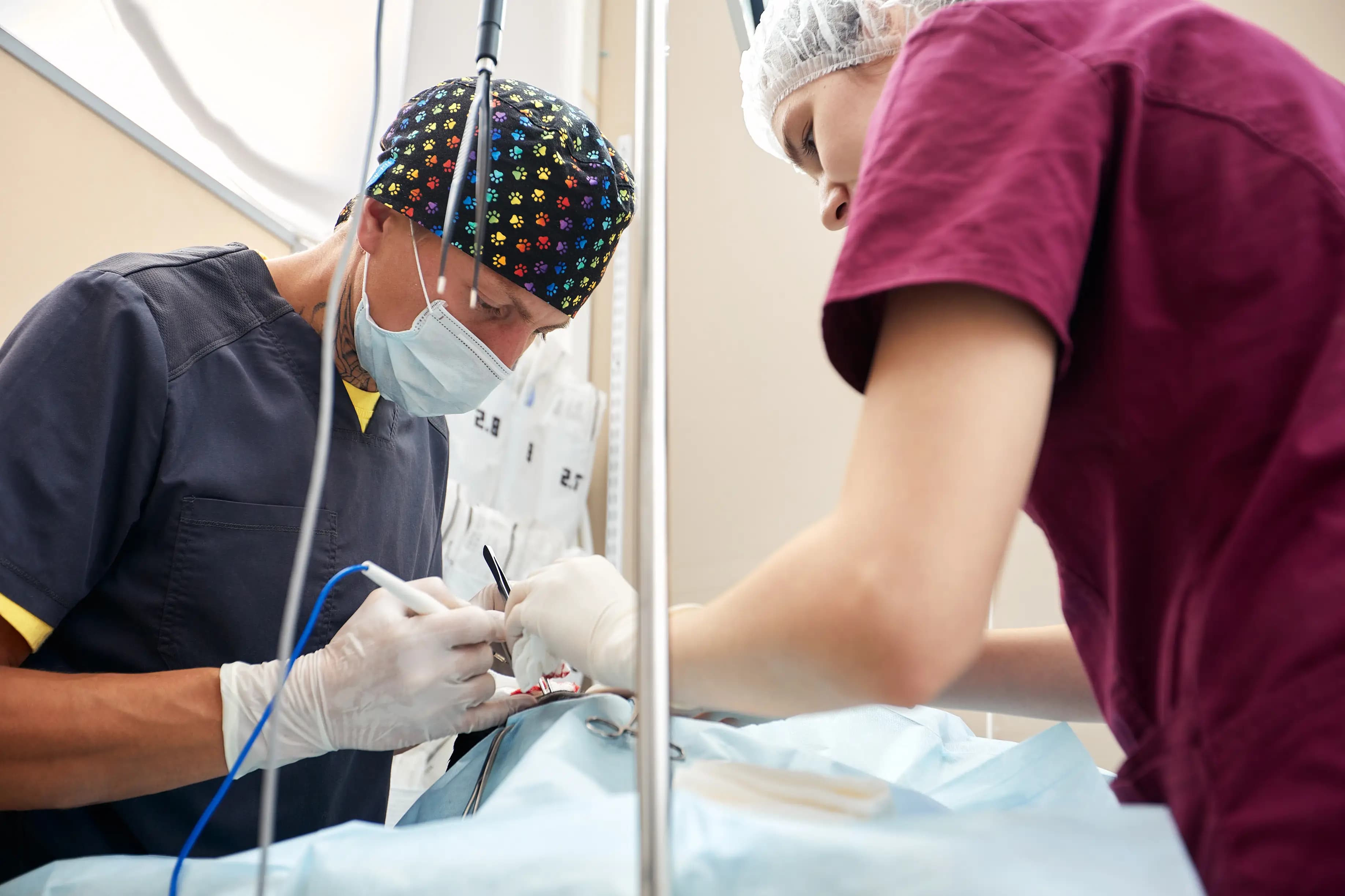 Minimally Invasive Sling Procedures